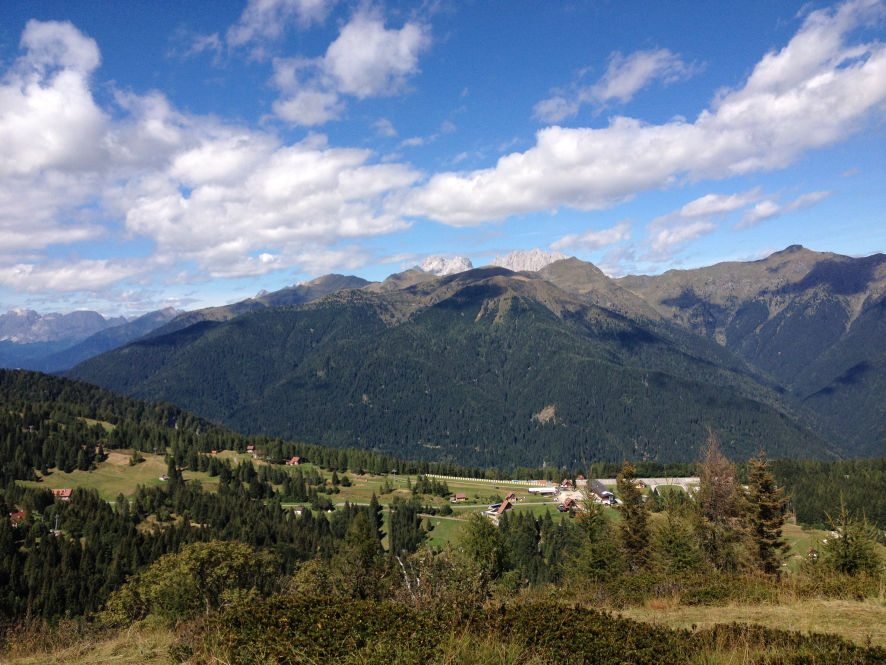 Zoncolan Sutrio Stavolo in vendità in località Cuel d Ajar